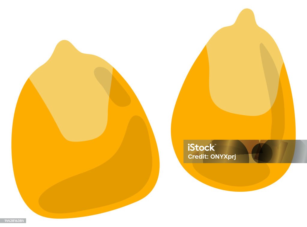 Corn Seeds Cartoon Natural Raw Maize Icon Stock Illustration - Download Image Now - Agriculture, Cartoon, Cereal Plant - iStock Corn Seeds Cartoon Natural Raw Maize Icon Stock Illustration - Download Image Now - Agriculture, Cartoon, Cereal Plant - iStock