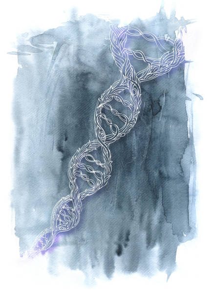 ilustrações de stock, clip art, desenhos animados e ícones de dna spiral - dna helix helix model symmetry