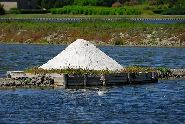 Closeup of saline in Carnac(Bretagne).