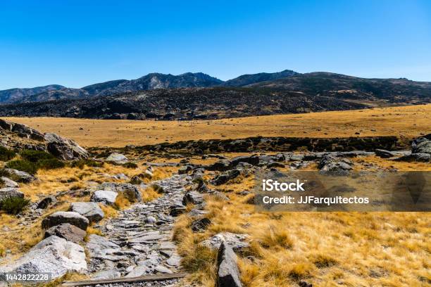 Beautiful Landscape Of Rocks On A Meadow In Gredos Park In Spain Under A Blue Sky Stock Photo - Download Image Now