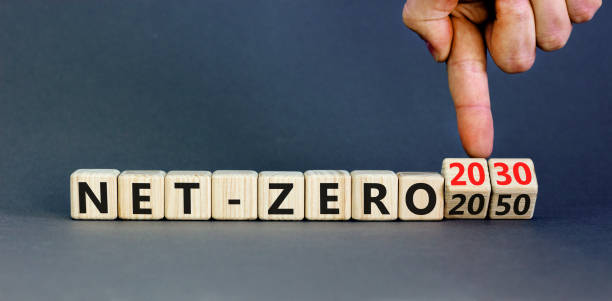 istock Net-zero 2030 symbol. Concept words Net-zero 2030 or Net-zero 2050 on wooden cubes. Businessman hand. Beautiful grey background. Business, ecological net-zero 2030 concept. Copy space. 1442823841