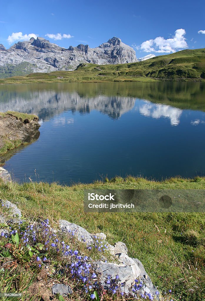 Verano en alpes suizos - Foto de stock de Agua libre de derechos