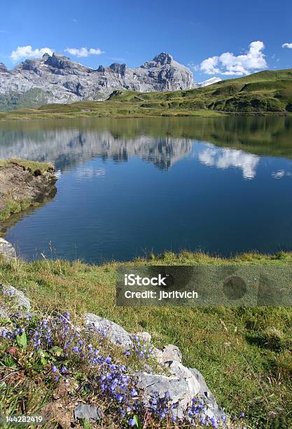 Foto de Verão Nos Alpes Suíços e mais fotos de stock de Alpes europeus - Alpes europeus, Amuado, Bomba de Ar
