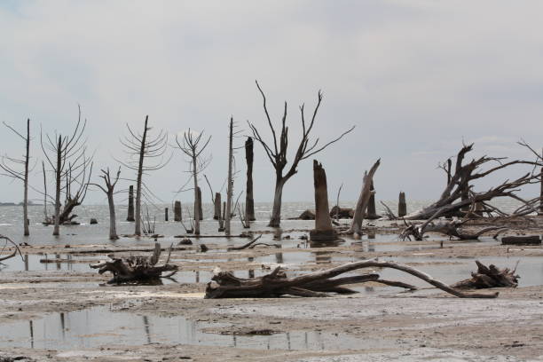 istock Small sea lagoon, Cordoba Argentina 1442824757