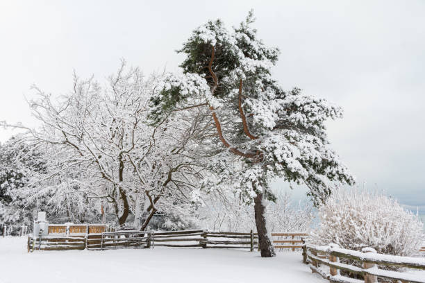 istock Winter Scene at Pioneer Park in Bayfield 1442829101