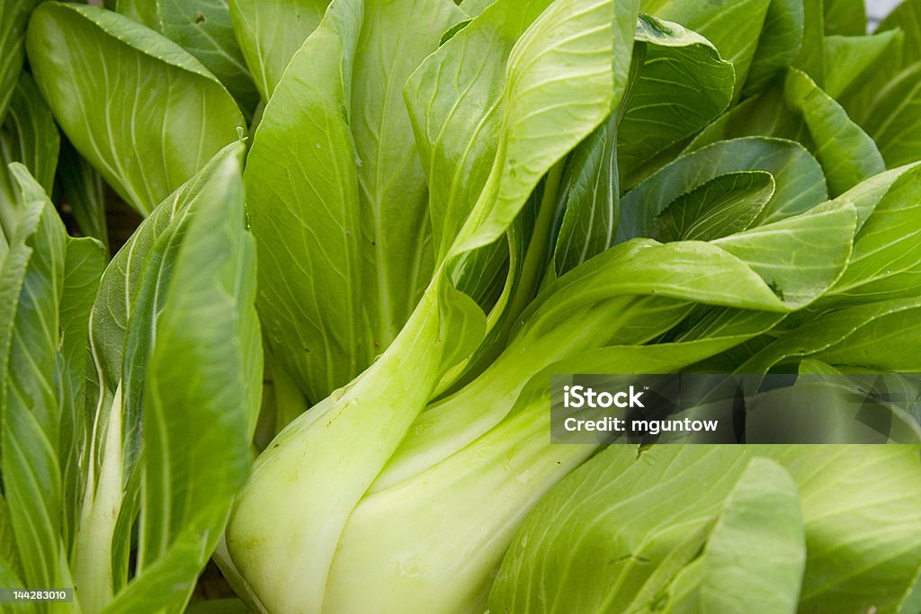 Bok Choy - Lizenzfrei Baby Stock-Foto