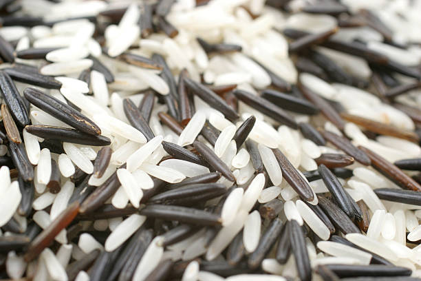 black and white rice stock photo