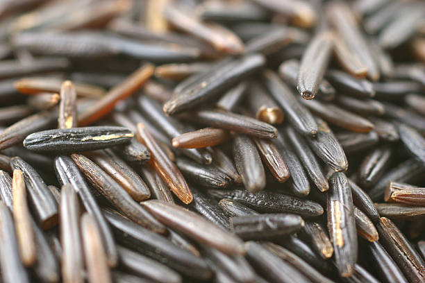 black rice stock photo