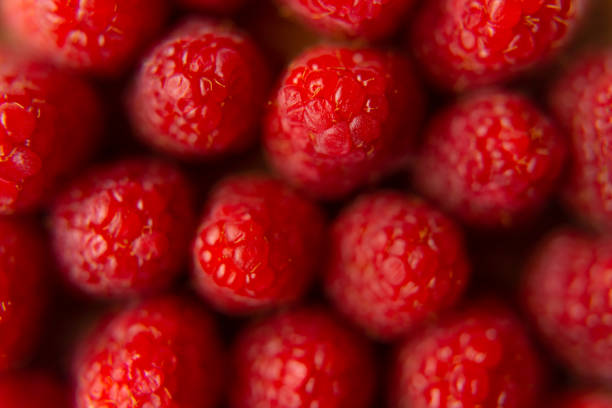 Raspberry close-up on a beautiful stand, summer fruit.