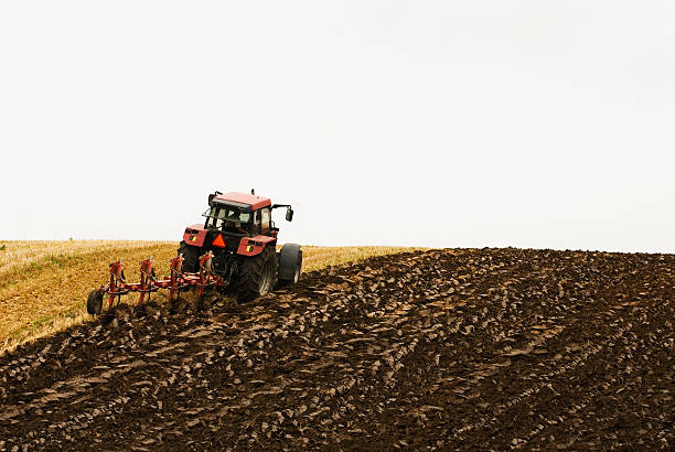 Large red tractor plowing in the field stock photo