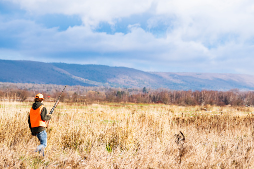 A teen hunter with his Labrador Retriever hunting dog on a pheasant hunt in the autumn