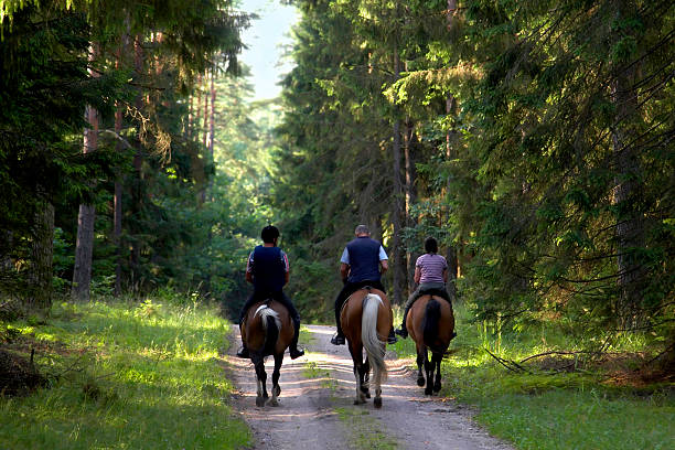 personas de caballos - non urban scene rural scene tree horse fotografías e imágenes de stock