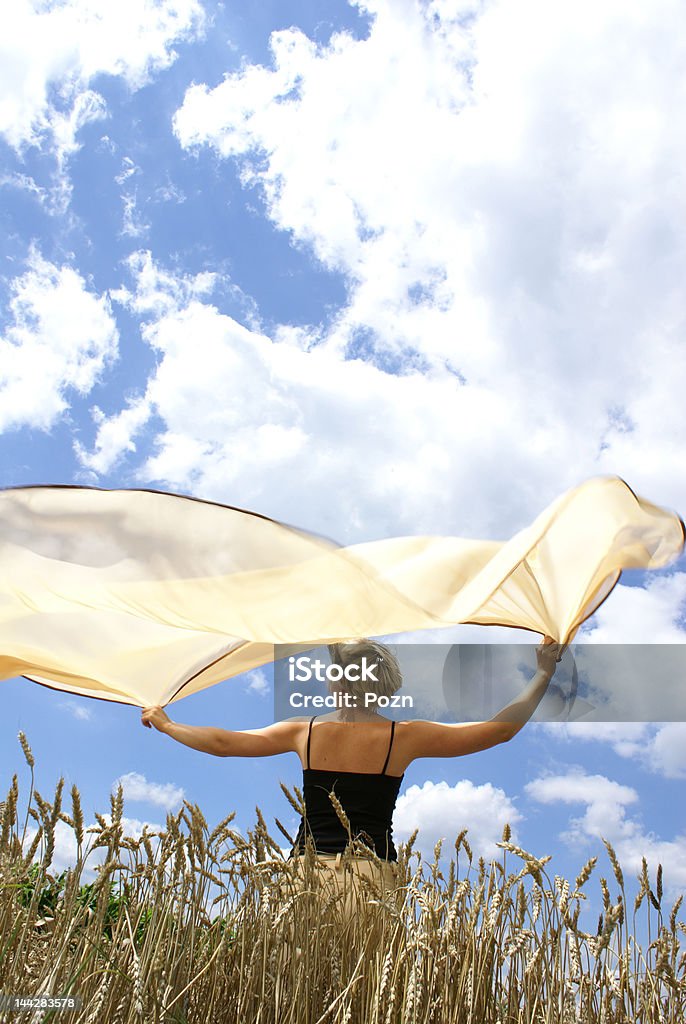 Wings of freedom Wings from a coverlet fluttering on a wind. Adult Stock Photo
