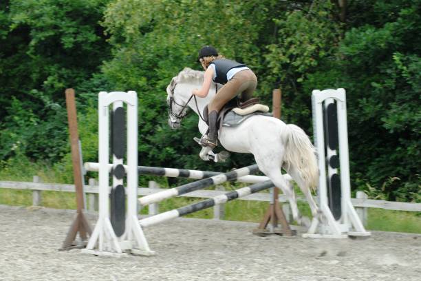 istock Horse jumping a barrier 144283611