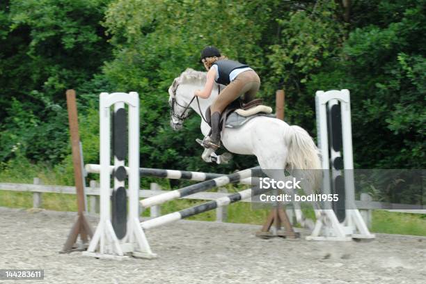 Cavalo Saltar Um Obstáculo - Fotografias de stock e mais imagens de Alto - Altura Humana - Alto - Altura Humana, Alto - Descrição Física, Animal