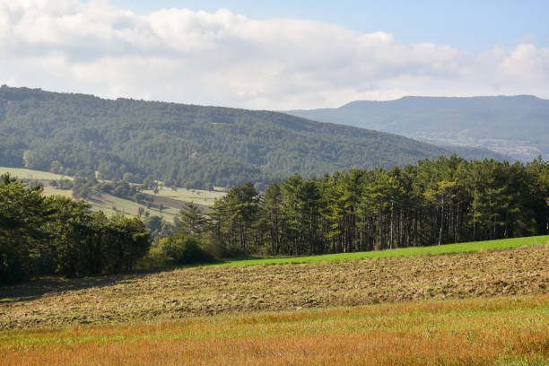 istock Plowed field and mountain and sky background 1442836146