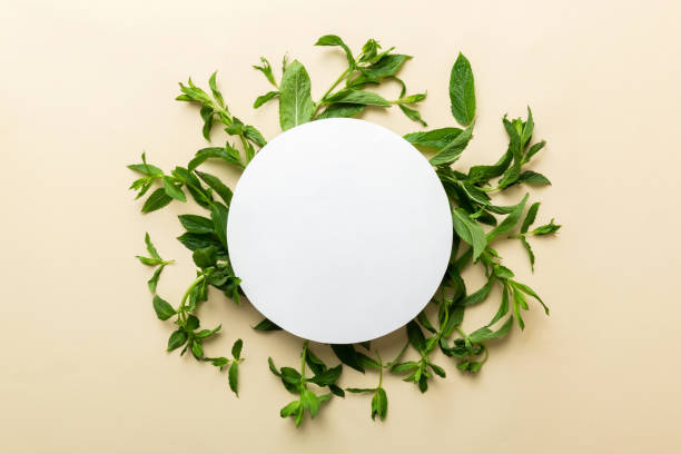 istock Wreath frame made of empty paper blank with space for text and mint leaves on colored background. . Mint Pattern. Flat lay. Top view 1442837434