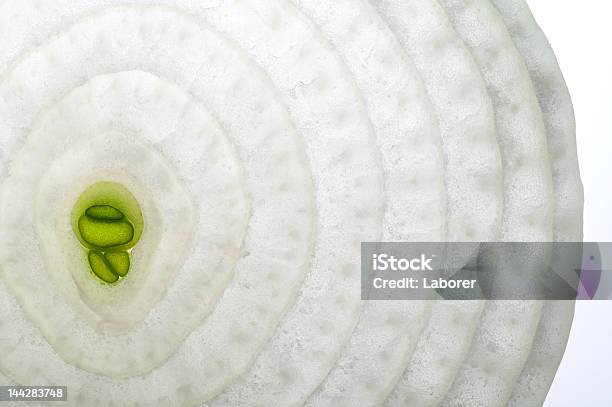 Cebula Z Lucerny Przekroju Na Jasnym Tabeli Back Podświetlany - zdjęcia stockowe i więcej obrazów Bez ludzi
