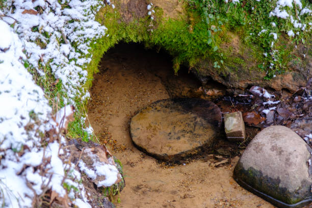 l’eau coule d’une petite ouverture de grotte, formant une source naturelle. parc naturel de skanaiskalns. novembre est la première neige à mazsalaca en lettonie - cave fern flowing forest photos et images de collection