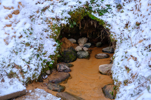 l’eau coule d’une petite ouverture de grotte, formant une source naturelle. parc naturel de skanaiskalns. novembre est la première neige à mazsalaca en lettonie - cave fern flowing forest photos et images de collection