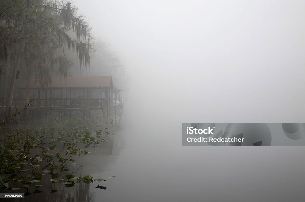 St. Johns River em nevoeiro - Foto de stock de Barba-de-velho royalty-free