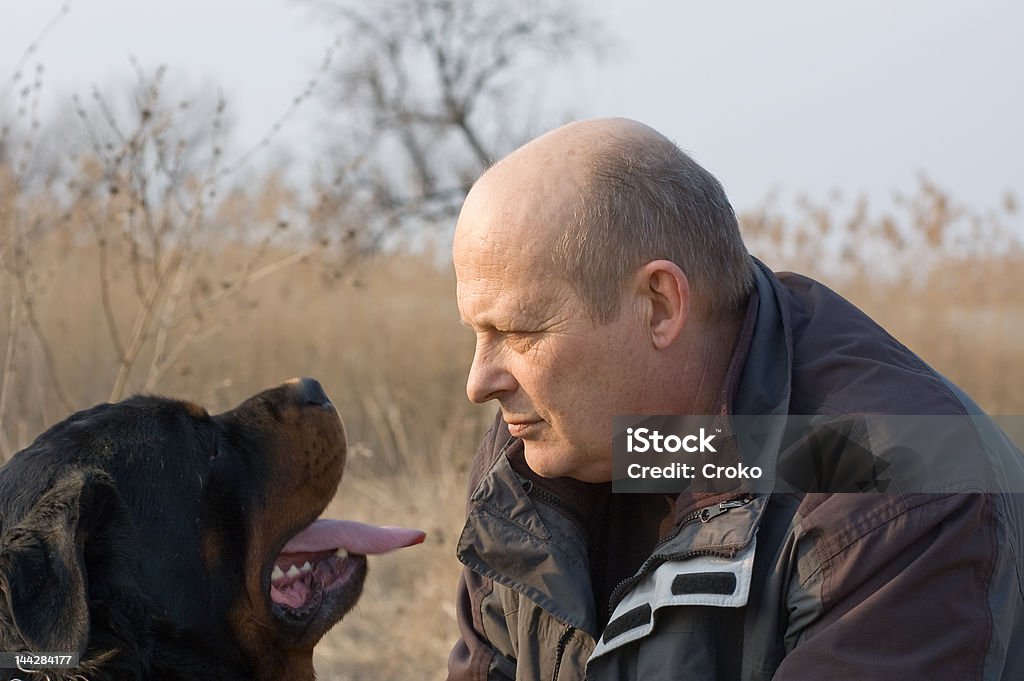 Hombre y el perro - Foto de stock de Cara a cara libre de derechos