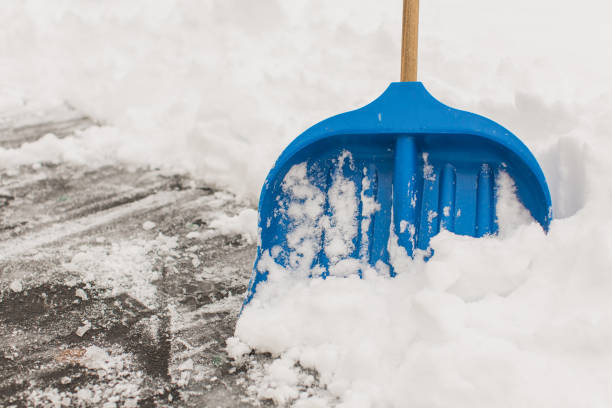 istock Blue snow shovel. Winter background. Weather. Climate. Storm 1442843881