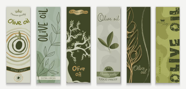 Set - template of labels or stickers for bottles or cans of tin or packaging of Vegetable Olive Oil. Modern trendy graphic design with olives leaves tree and olive twigs. Editable vector vector art illustration