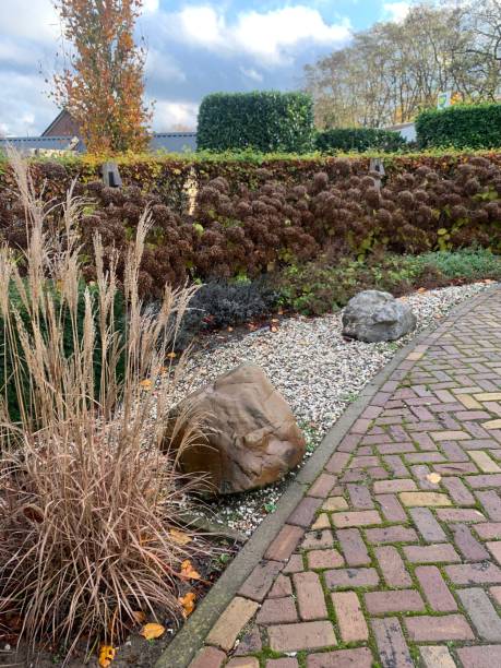 istock Garden autumn landscape 1442847887