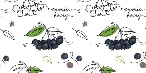 Vector illustration of Aronia berry, chokeberry, black rowan vector seamless pattern or texture. One continuous line art drawing of aronia pattern