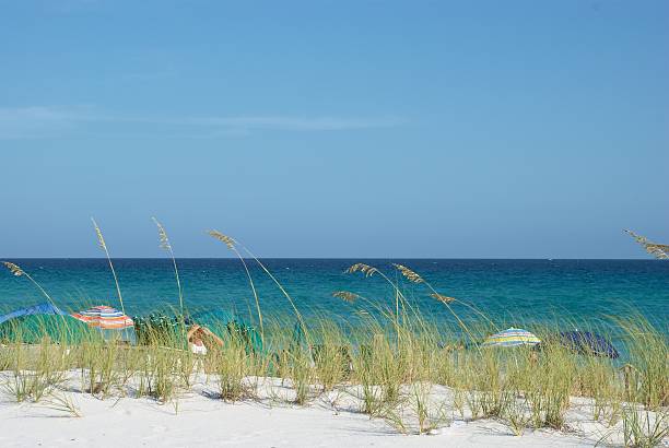 istock A scenic view of a tropical beach 144285318