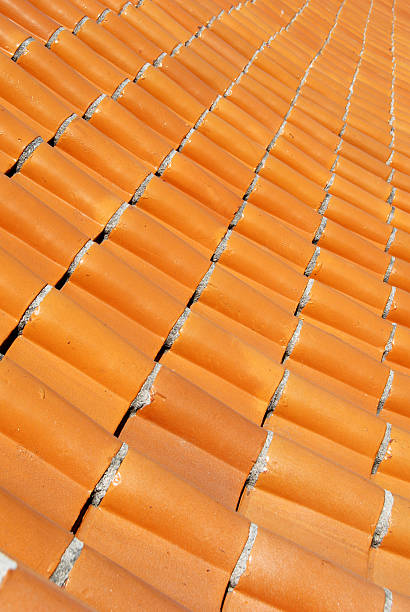 Roof Tiles stock photo