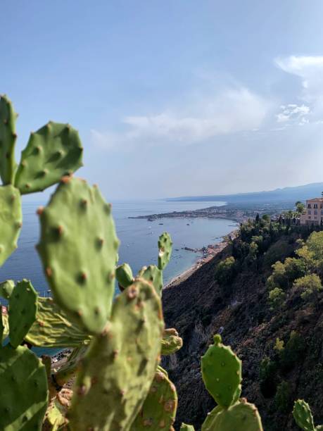 istock Gulf of Taormina 1442857329