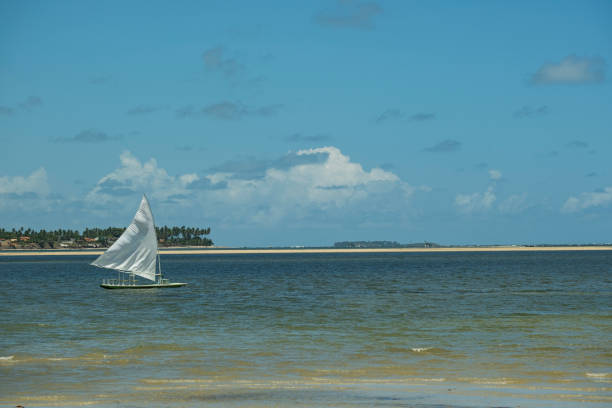 istock small sailing boat in the sea in sunny day 1442858525