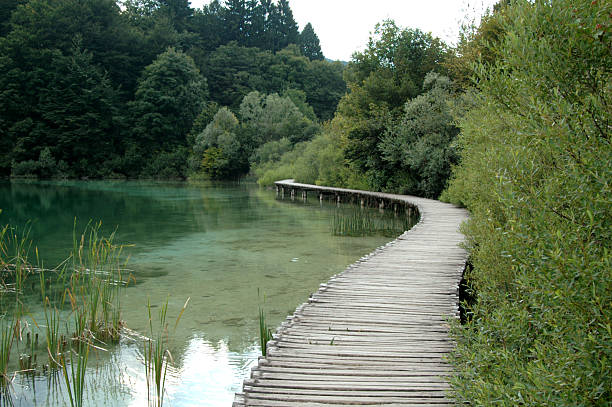 istock Walking road on Plitvic Lakes, Croatia 144286235