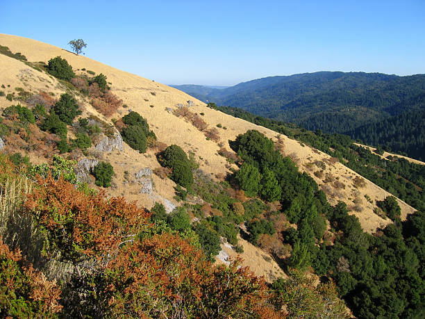 istock Santa Cruz Foothills 144286269