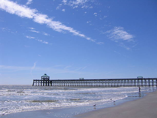 istock Pier at Folly Beach SC 144286293