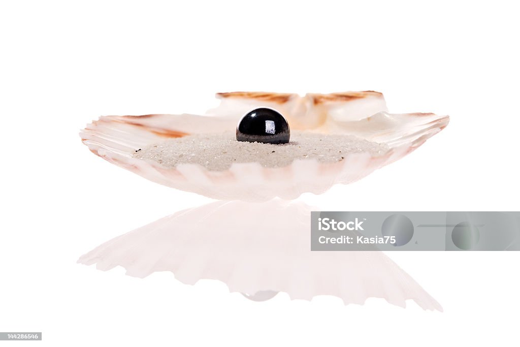 Black Pearl Black Pearl in a scallop shell Animal Shell Stock Photo