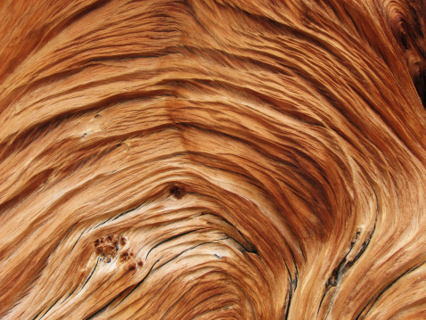 Wooden background. Macro photography, stylized wood in circles from the inside out, wooden table, decoration, backgrounds and textures.