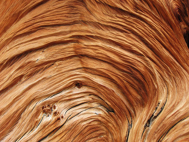 twisted wood grain stock photo