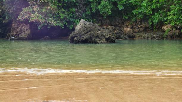 istock beach with clear water and clean white sand 1442866418