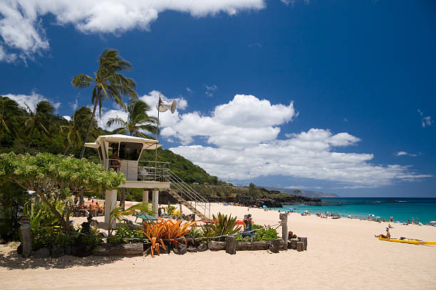 istock Waimea Beach Lifeguard Tower 144286772