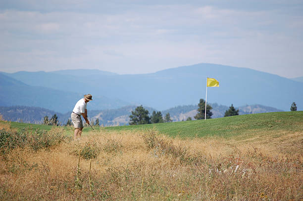 istock Golfer putting at Gallaghers Canyon 144286834
