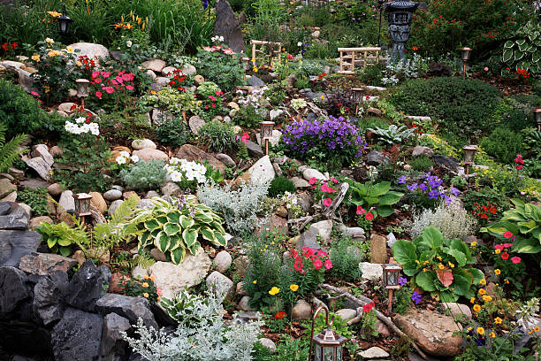 extremo jardinagem - rock garden imagens e fotografias de stock