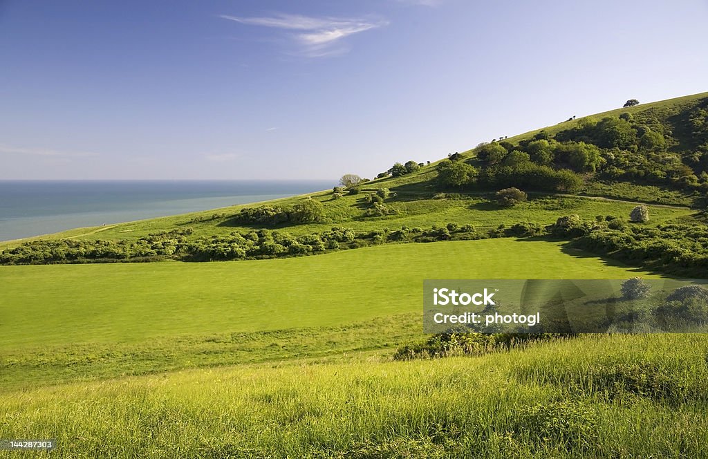 Campo Verde com mar. - Royalty-free Agricultura Foto de stock