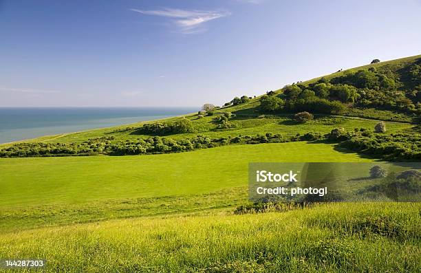 Campo Verde Com Mar - Fotografias de stock e mais imagens de Agricultura - Agricultura, Ao Ar Livre, Azul