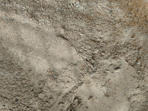 istock Dust from the kernal palm that has been processed into a palm kernal expeller, which can be used as food for livestock. 1442873381