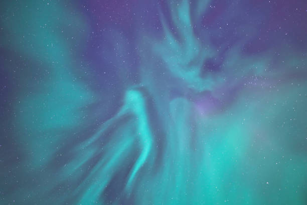 istock Aurora borealis overhead in Alaska with stars 1442876020