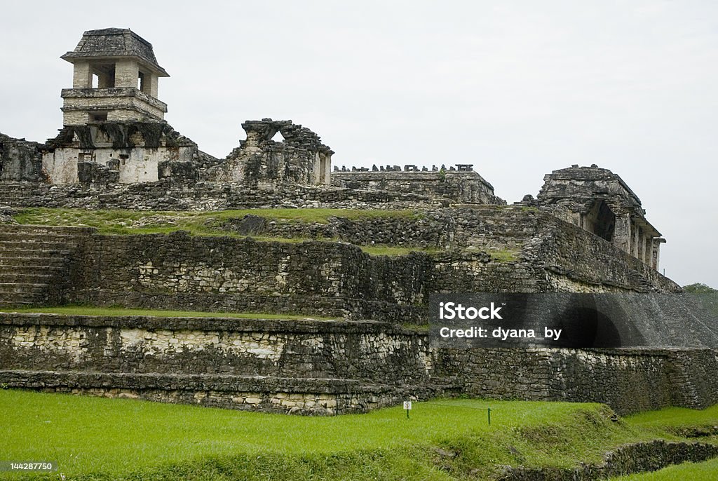 Palenque Ruiny w Chiapas - Zbiór zdjęć royalty-free (Ameryka)