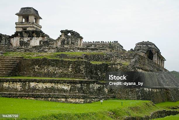 Palenque Ruiny W Chiapas - zdjęcia stockowe i więcej obrazów Ameryka - Ameryka, Archeologia, Cięcie w linii środkowej